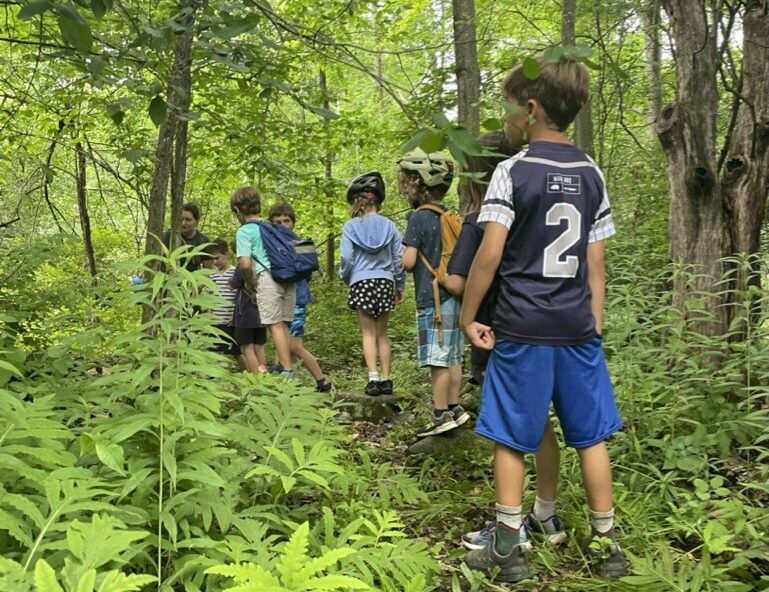 017723A6-7696-4637-B9C9-96381E721ADB_1_105_c