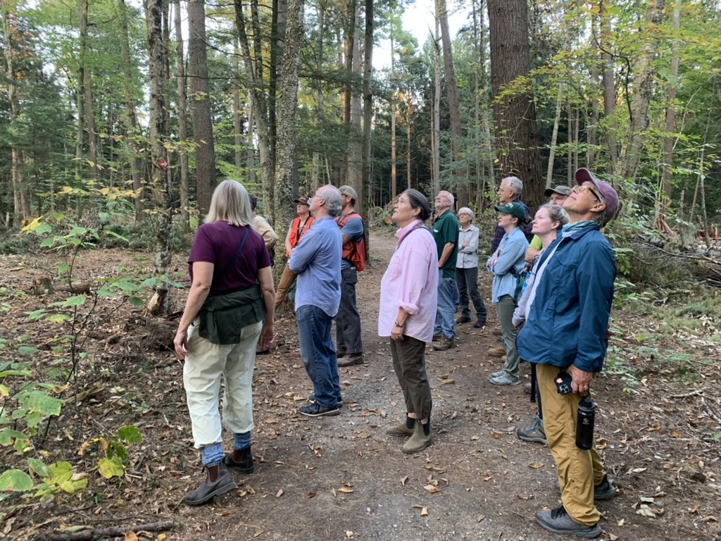 A824E5C3-5008-4257-8ED3-A98269C08916_1_105_c