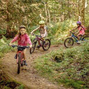 B6CB182E-B283-48CA-B899-E9EB873B6193_1_105_c